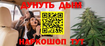 бошки Дубна