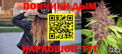 бошки Дубна