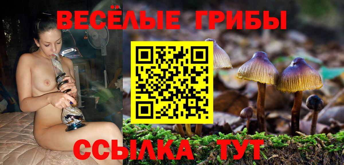 Псилоцибиновые грибы мухоморы Гатчина