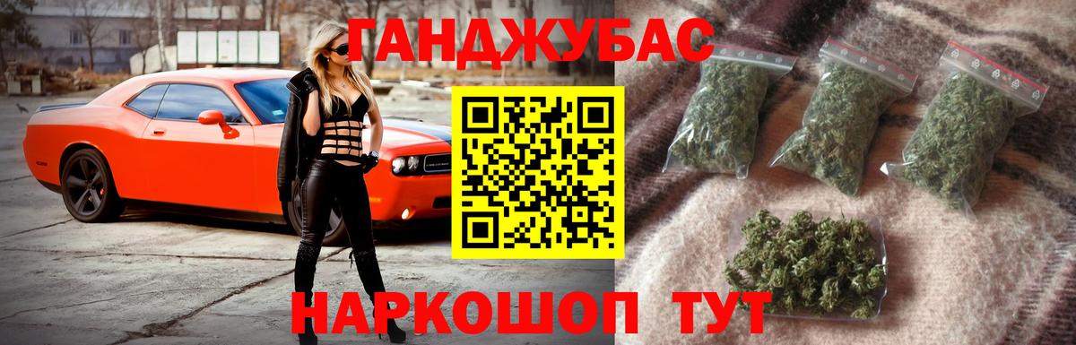Канабис сатива Гатчина